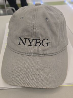 Embroidered Light Gray Baseball Cap